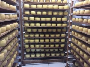 Leia mais sobre o artigo No fim desta semana, tem festa do queijo em Rochedinho