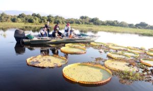 Leia mais sobre o artigo Socorro do FCO ao Pantanal traz alento para importante região do turismo de MS, afirma Fecomércio