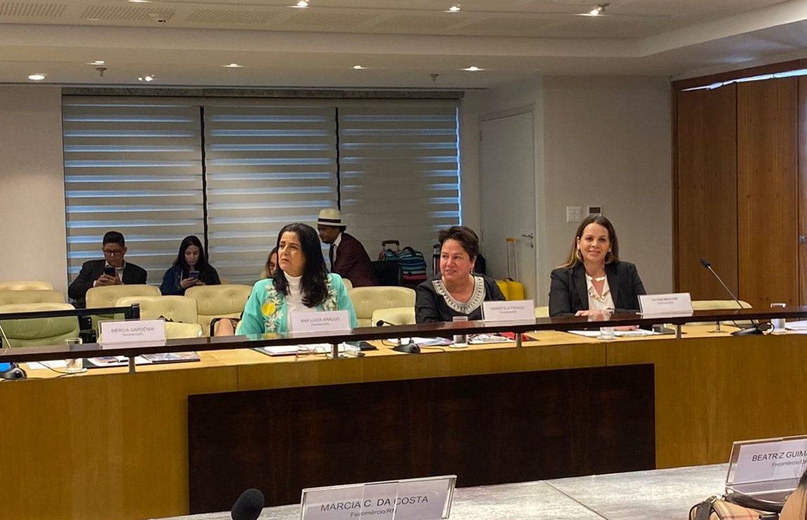Leia mais sobre o artigo Representantes da Fecomércio MS participam de reunião da Câmara Brasileira das Mulheres Empreendedoras