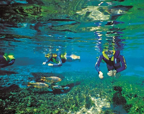 Leia mais sobre o artigo Mudanças climáticas influenciam comportamento de turistas; 41% querem experiências aquáticas