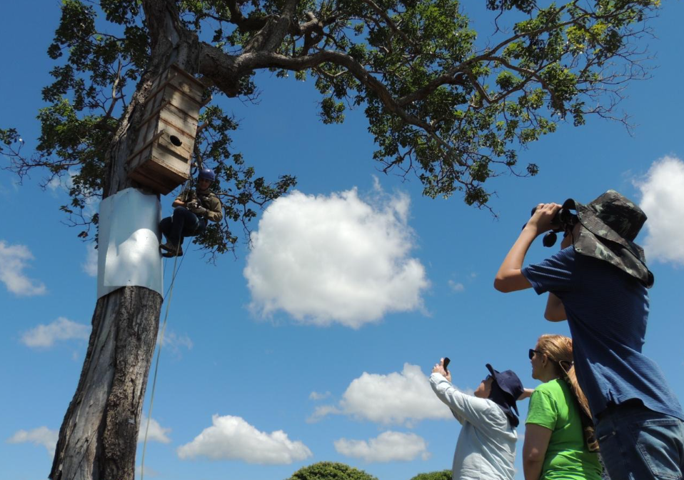 Você está visualizando atualmente MS é Top 3 no concurso de turismo sustentável da Embratur